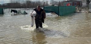 Meriç Nehri taştı, çuvalını kapan tarlada sazan topladı