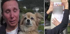 Ruslar karış karış her yerde onları arıyor Bulana 100 bin TL ödül