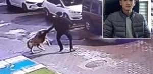 Daha 16 yaşındaydı Köpekten kaçarken canından oldu