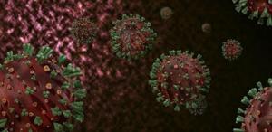 Gana’da M çiçeği salgını 1000’den fazla vaka görüldü, 8 kişi hayatını kaybetti