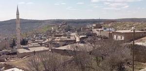 İnekteki kuduz şüphesi nedeniyle mahalle karantinaya alındı