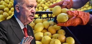Fiyatı 100 lirayı aşmıştı, Erdoğan el attı Limon ithalatında yeni karar