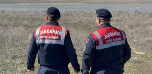 Jandarma flamingolar için 24 saat mesaide