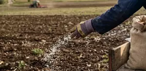 Gübre tedarikine karşı yeni önlemler Amonyum nitrat kullanımının önü açıldı