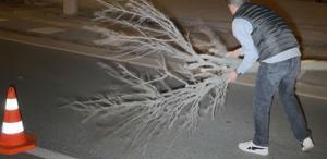 Cam ve plastik parçalarıyla dolan yolu kırılan ağaçla temizledi