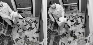 Kediyi darbedip apartmandan dışarı attı