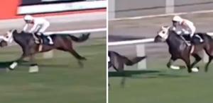 Yarış görüntüleri ortaya çıktı Kavurması yapılan atın 3 birinciliği varmış