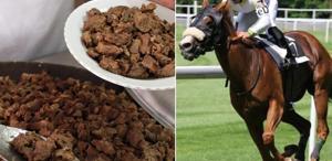 Kavurma yapılan atın sahibine de ceza Sorumsuzluğu affedilmedi