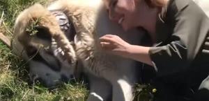 Köpeği seviyordu, sonu faciayla bitti