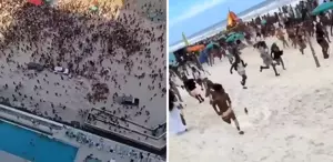 Silah seslerini duyunca denizden çıkıp panikle kaçtılar