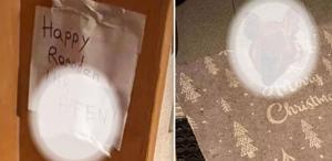 Avusturya’da Türk ailenin kapısına domuz kafası bırakıldı