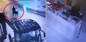 Milyonluk vurgun yapıp eşekle kaçtı: İstenen ceza belli oldu