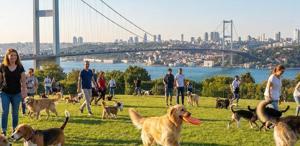 Zengin semtinde yaptığı işten 150 bin lira kazanıyor: Okumayın, iş kovalayın