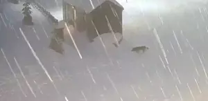 Kocaeli’nin yüksek kesimlerine kar yağdı