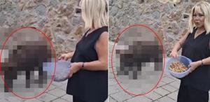 Safiye Soyman kapısına dayanan domuzu elleriyle besledi