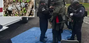 ABD’de büyük panik: Parkta bulunan cisim FBI ekiplerini alarma geçirdi