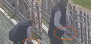 Kocaeli’de tramvay hattında sevgi dolu duraklama: Vatmandan kaplumbağaya yardım eli