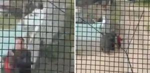 Raylarda mucize: Trenin çarpmasına saniyeler kala küçük çocuğu böyle kurtardı