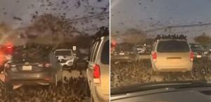 Neler oluyor Tel Aviv’den servis edilen yeni görüntü ses getirdi