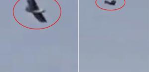 İran üzerinde kuş görünümlü insansız hava aracı görüntülendi