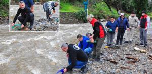 Dere yatağında ortaya çıkıyor, tasını kapan avuç avuç topluyor