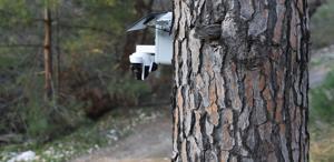 Altın değerindeki künara kameralı önlem