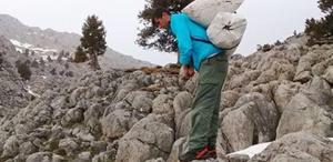 Kilosu 300 liradan satılıyor Günde 21 bin lira kazanan var