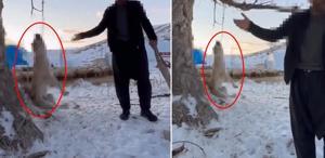 Çok yediğini iddia ettiği köpeğini ağaca asıp öldürdü