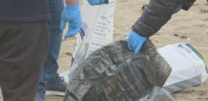 Dalgalar kıyıya sürükledi, polis alarma geçti İçinden bakın ne çıktı