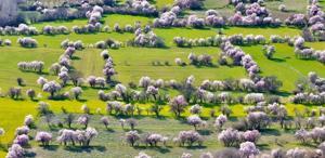 Görüntü İsviçre’den değil Türkiye’den