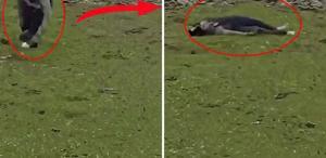 İsrail’den Suriye topraklarına baskın Sivillere ateş açtılar