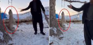 Çok yediği için köpeğini ağaca asıp öldüren şahıs tutuklandı