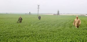 Mardin’de kaybolan 80 yaşındaki kadının bulunması için arama çalışmaları sürüyor