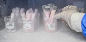 Türkiye’nin tek deri bankası ve doku laboratuvarına bağışlar artıyor