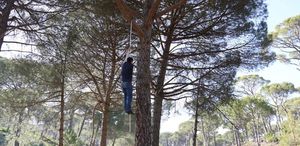 “Örümcek Adamları” iş başında