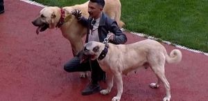 En sonunda bunu da gördük Sahaya kangallarla çıktılar