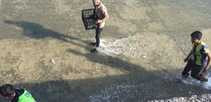 Haberi duyan balık toplamaya koştu