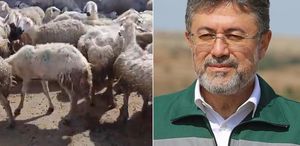 “Örnek üreticiye“ bakanlıktan mera yanıtı