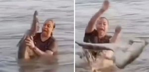 Kütük diye eline aldı, timsah çıktı Yaşadığı şok kamerada