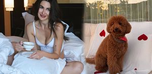 Nesrin Cavadzade’den köpeği Dolce’ye doğum günü partisi