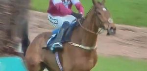 Engelden atlarken sırtı kırılan yarış atının acı sonu