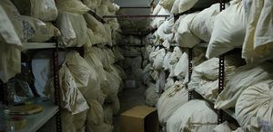 Ankara Adliye’sinde akılalmaz olay Adli emanetten çaldığı paralarla bahis oynadı