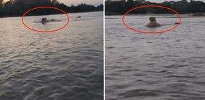 Kolombiya’da Escobar’ın hipopotamları için av kararı alındı