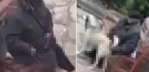 Skandal görüntü Parktaki sokak hayvanlarını istismar etti