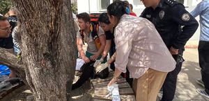 Kahramanmaraş’taki saldırıdan sonra ortaya çıktılar Telegram’dan örgütlenen provokatörler tespit edildi