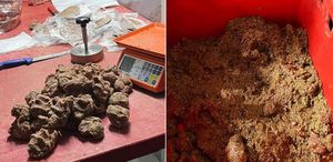 Pes dedirtti Büyükşehirden gelen görüntü inanılmaz