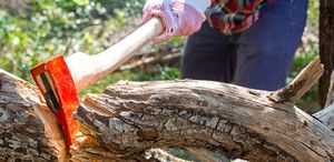Alanya’da kestiği ağacın altında kalan kişi öldü