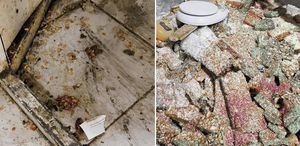 Bunları insanlara yedireceklerdi Eve giren zabıta gözlerine inanamadı