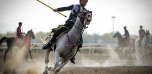 Turnuvada facia İki at çarpıştı, sporcu yaşam mücadelesi veriyor