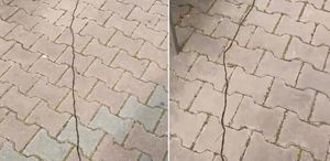 İstanbullular diken üstünde Çam kese tırtılı böyle görüntülendi